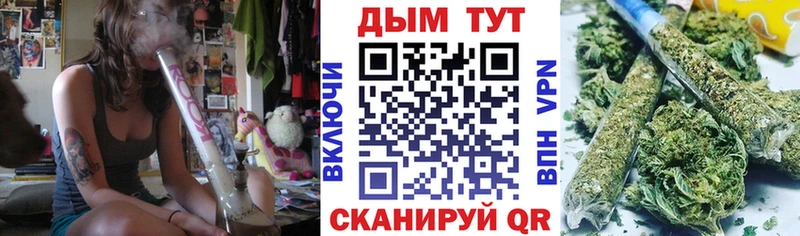 Бошки марихуана сатива  Купить закладки  Мензелинск 